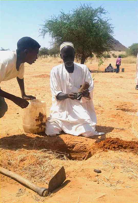 Health and Nutrition